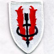 173rd ARS 'Shield' Patch