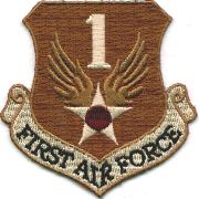 1st Air Force Reserve Crest (Tan)