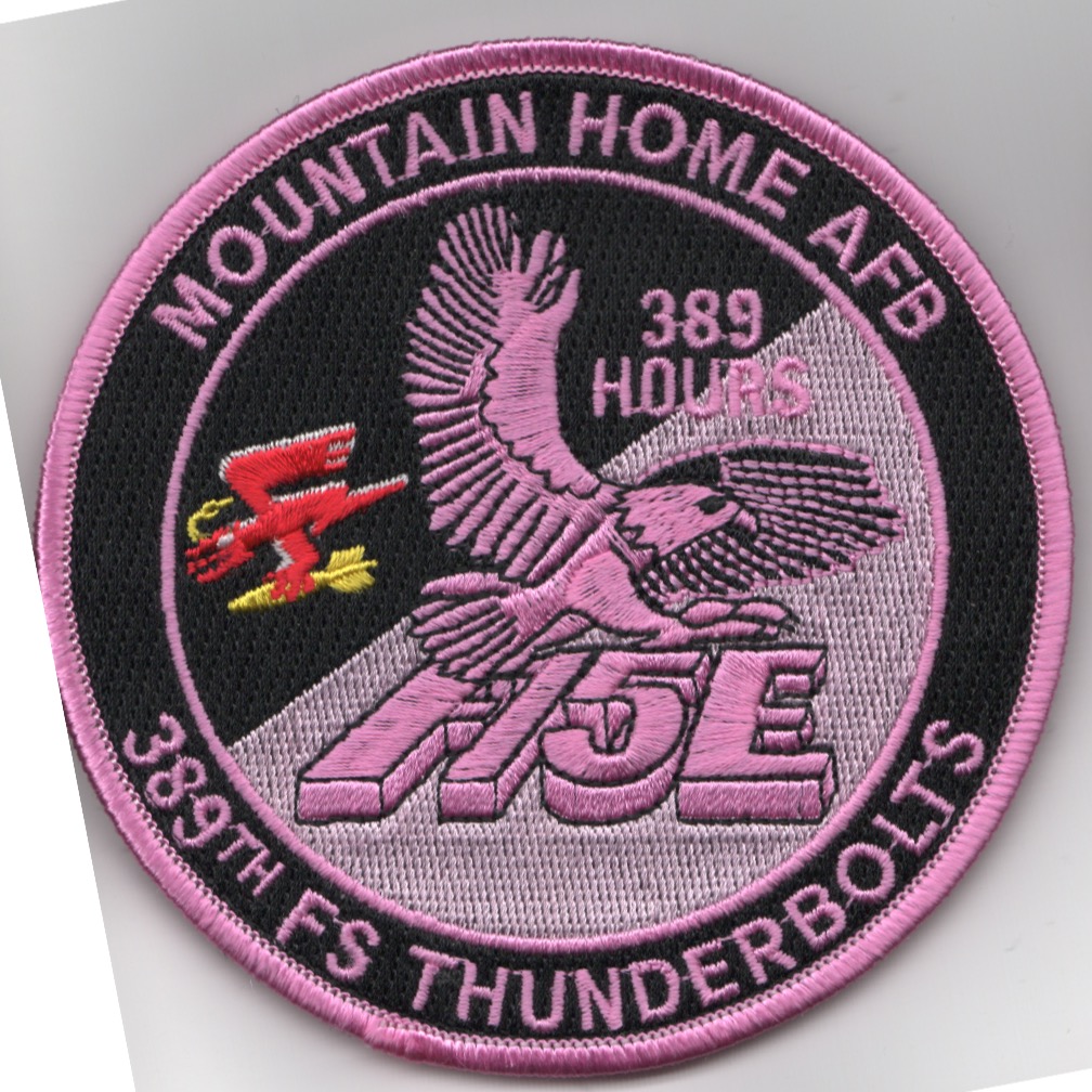 389FS F-15E 'Tinsel' Patch (PINK/389 Hours/V)