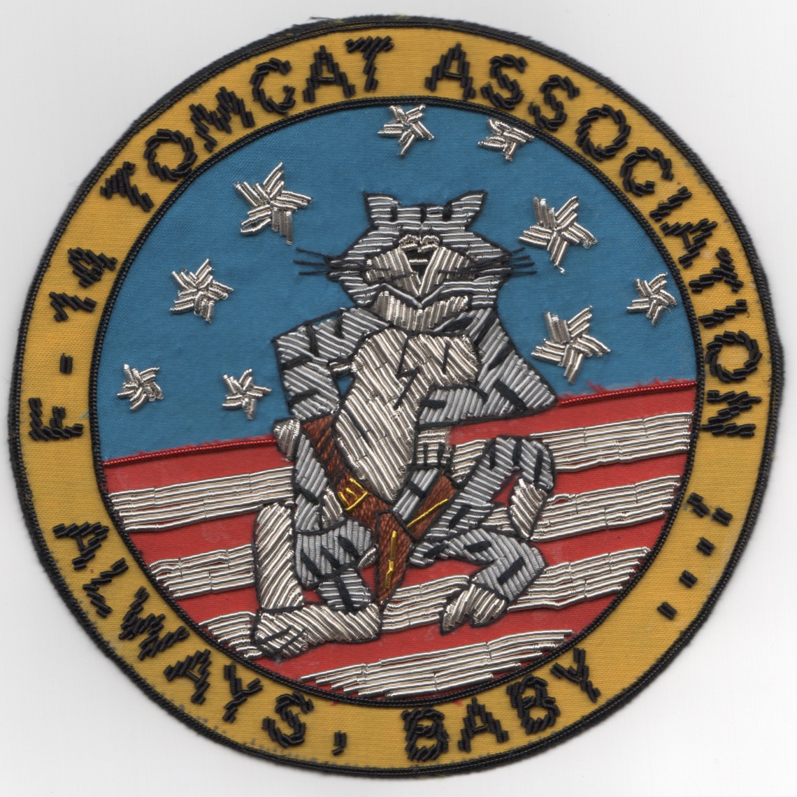 F-14 Tomcat Association Patch (Bullion)