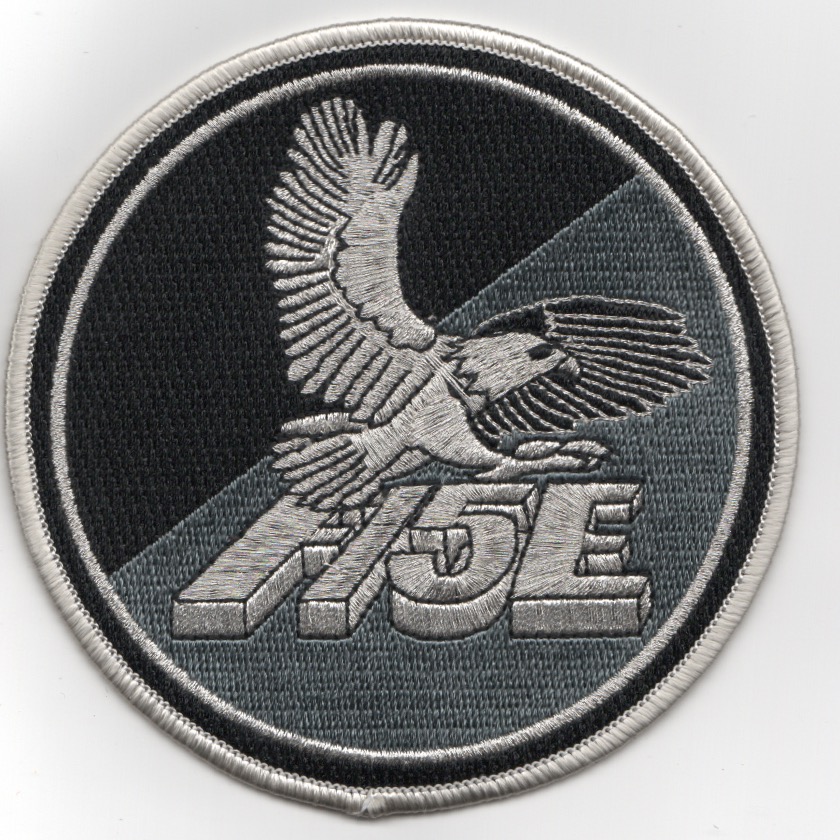 F-15E Black/Silver 'Tinsel' Patch (No V)