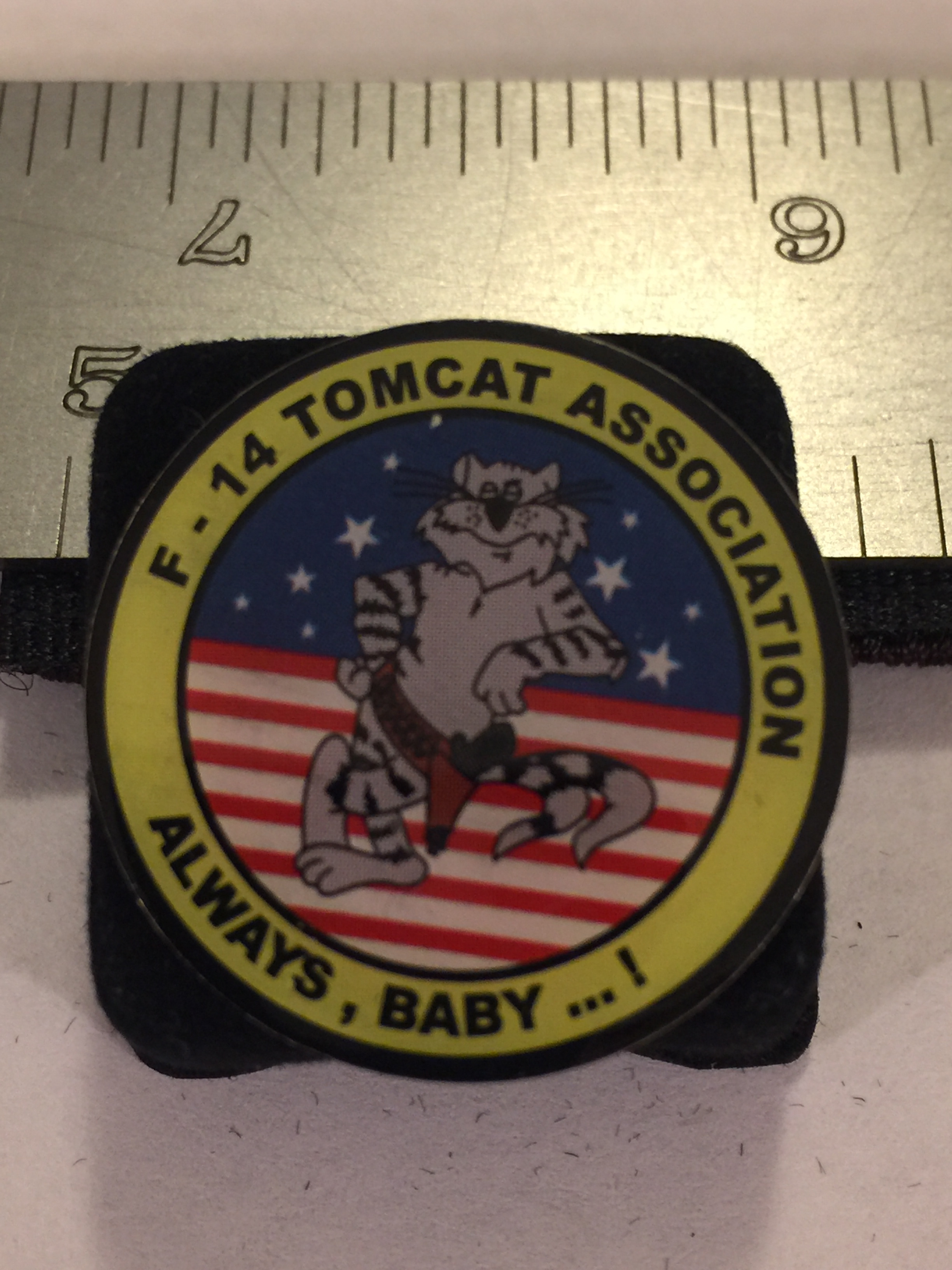 Lapel Pin: Tomcat Association (Lg)