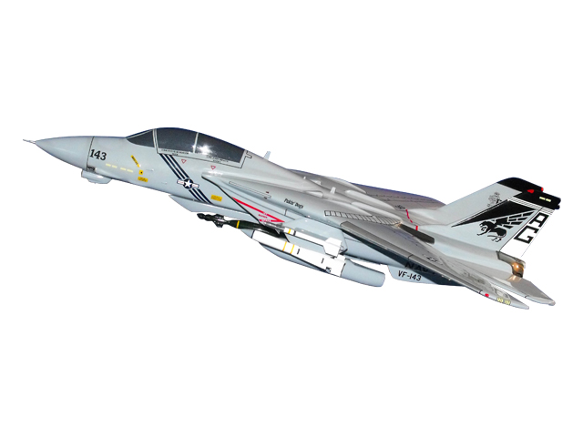 F-14/VF-143 Aircraft (Large Model)