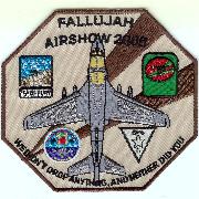 VAQ-135 'Fallujah 2005' (Gray A/C)