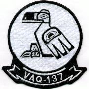 VAQ-137 Squadron Patch (White/No V)