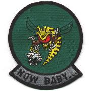 VFA-113 Party Patch