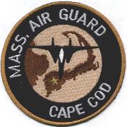 MA ANG/101st Fighter Squadron (Desert)