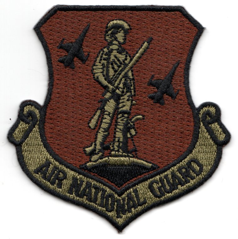 Air National Guard Crest (OCP/F-16s)
