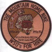 335FS/391FS EFS Patch (Desert)