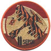 34th/37th Exp. Bomb Squadron (Desert)