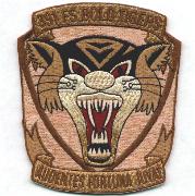 391FS Historical 'Tiger-Face' Patch (Des)