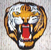 391FS Tigerhead Patch (HUGE)