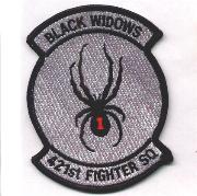 421FS Sqdn (Gray/Merrowed)