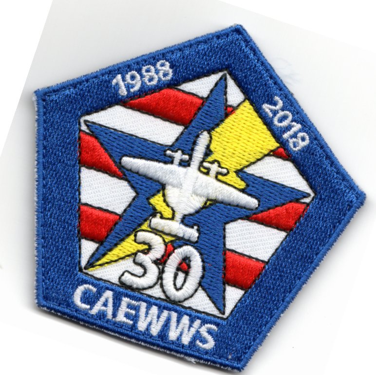 CAEWWS '30th Anniv' Patch (Pentagon)