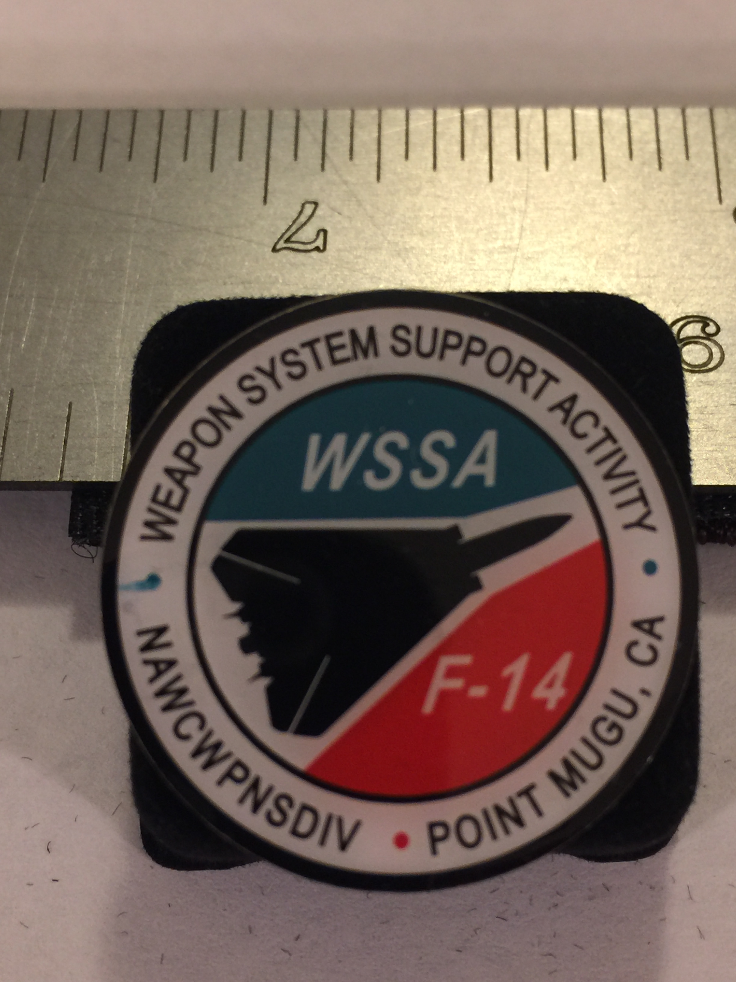 Lapel Pin: F-14 WSSA
