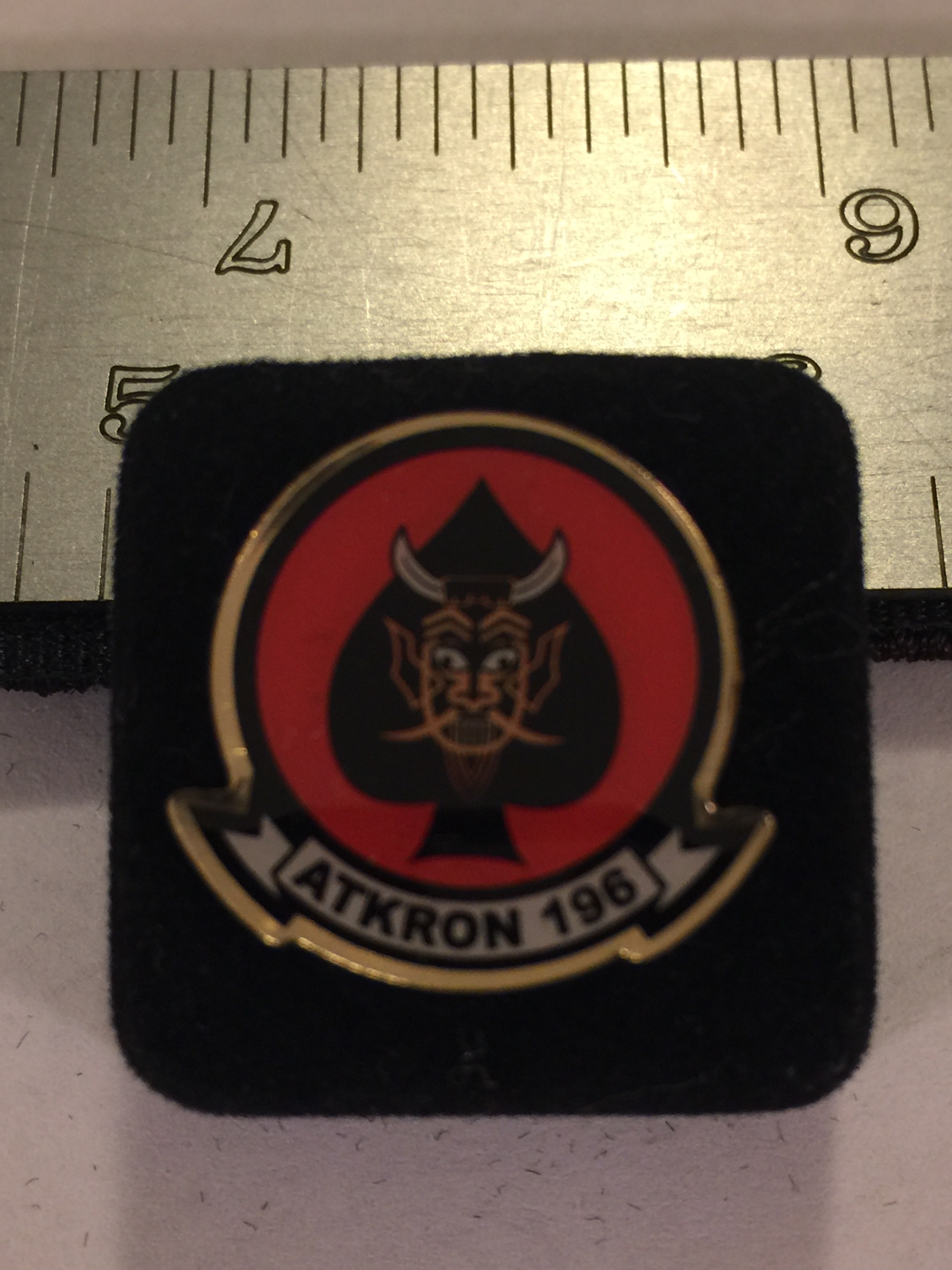 Lapel Pin: VA-196 Sqdn