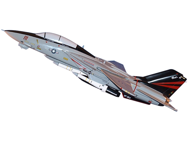 F-14/VF-154 Aircraft (Large Model)