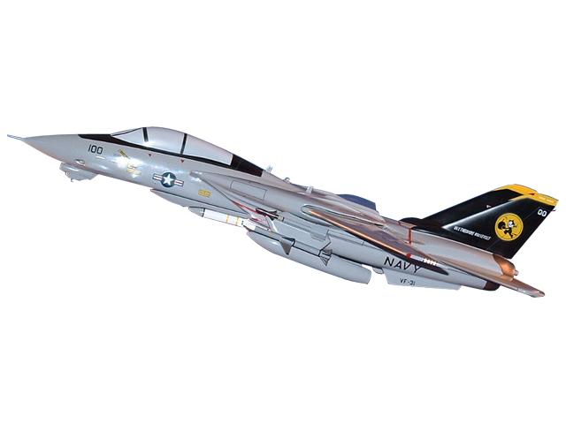 F-14/VF-31 Aircraft (Large Model)