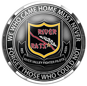 (RRVFPA) Coin: 'CHECK 6' (Gray RRVFPA Letters/Front)