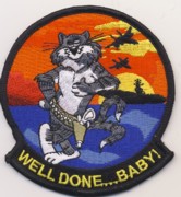 F-14 'Well Done . . . Baby' Felix Patch