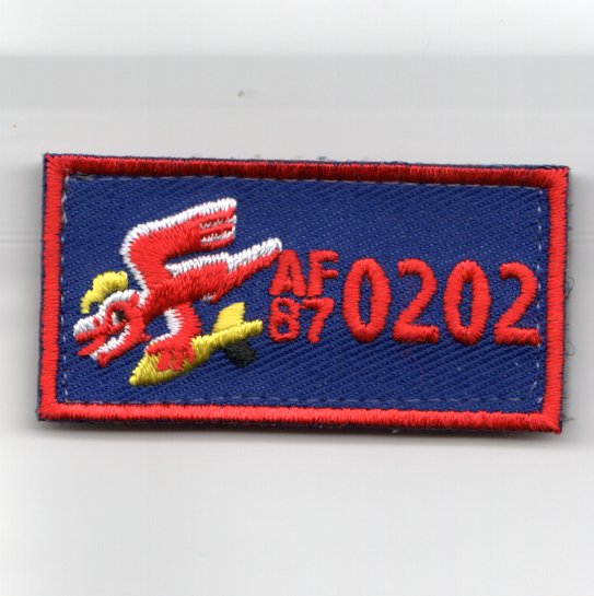 (FSS) 389FS Tail #: AF87-0202