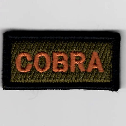FSS - *COBRA* (OCP)