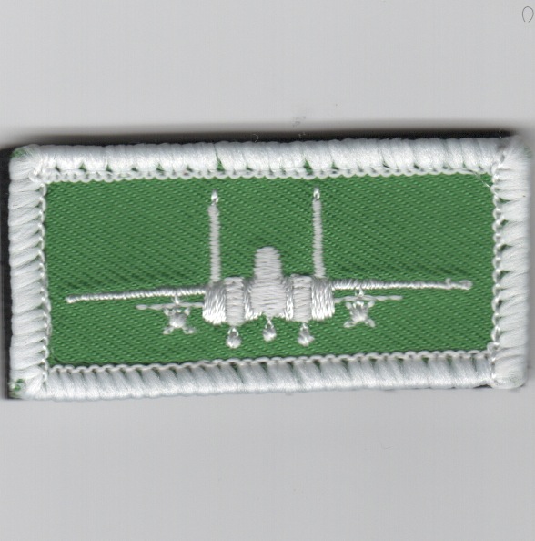 F-15E (Green)