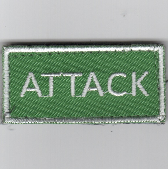 Flight Suit Sleeve - ATTACK (Green)