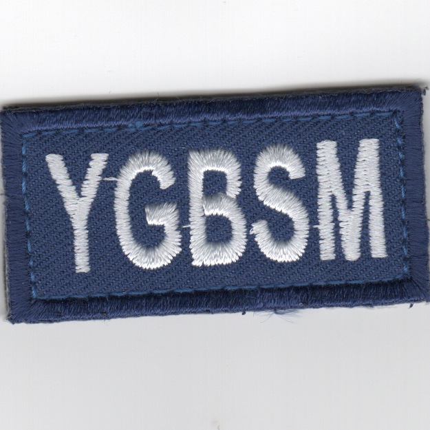 Flight Suit Sleeve - YGBSM (Blue)