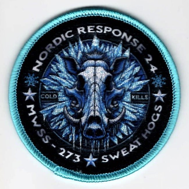 MWSS-273 *DET NORDIC* (Lt Blue)