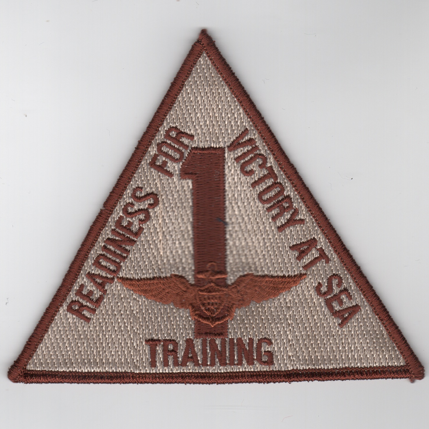 Training Wing 1 (Desert)