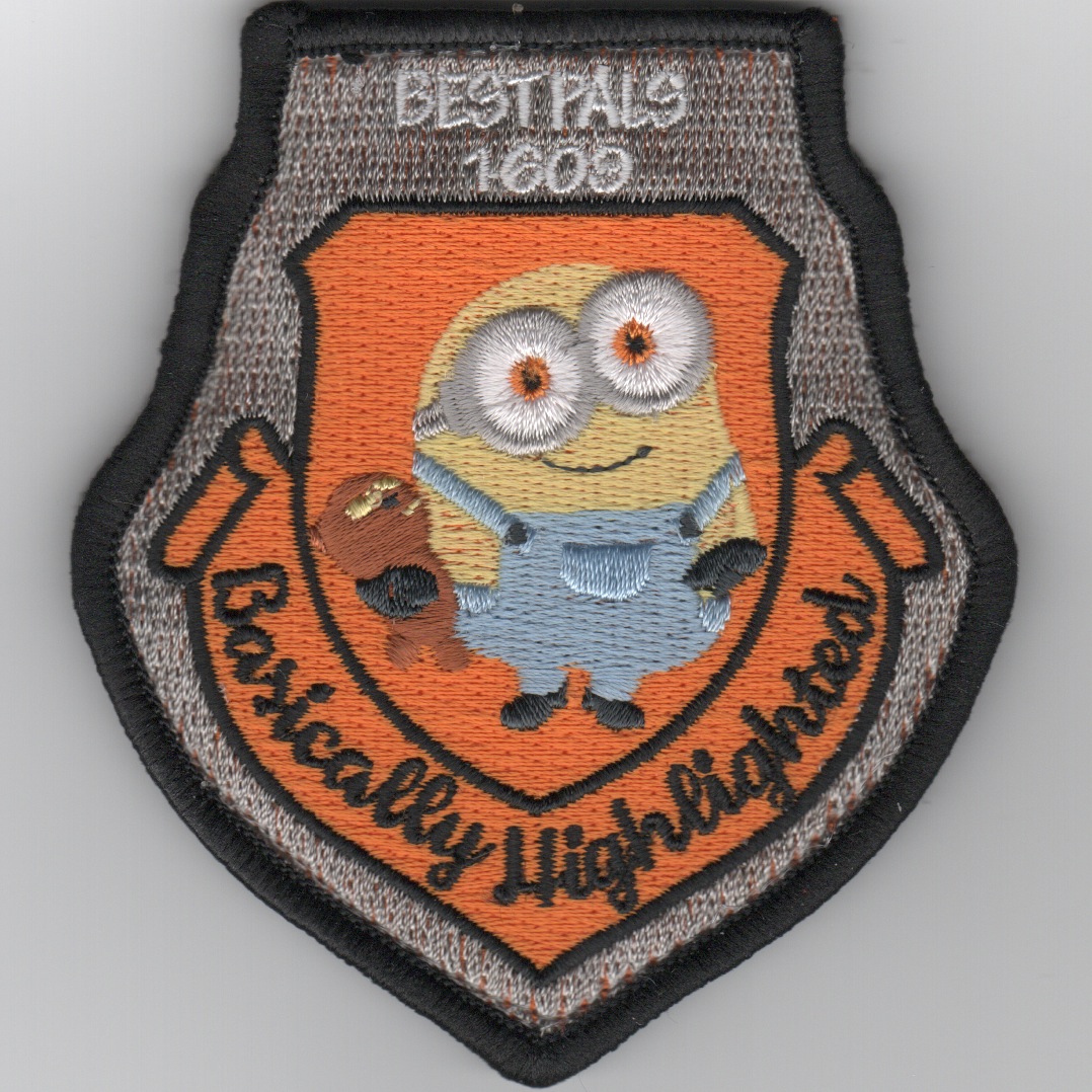 325ACS ABM Class 16-09 Patch