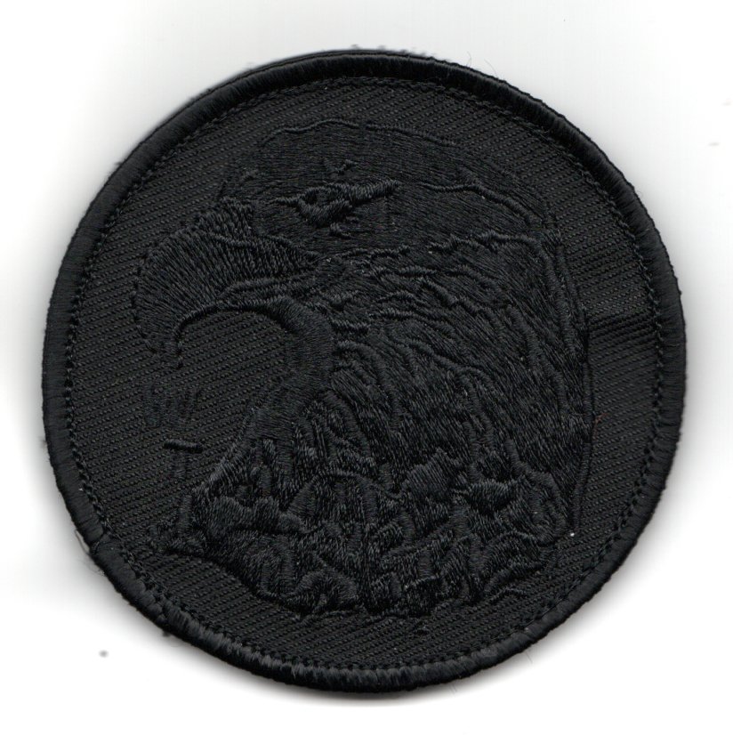 USMC WTI Patch (Black/Black Eye)