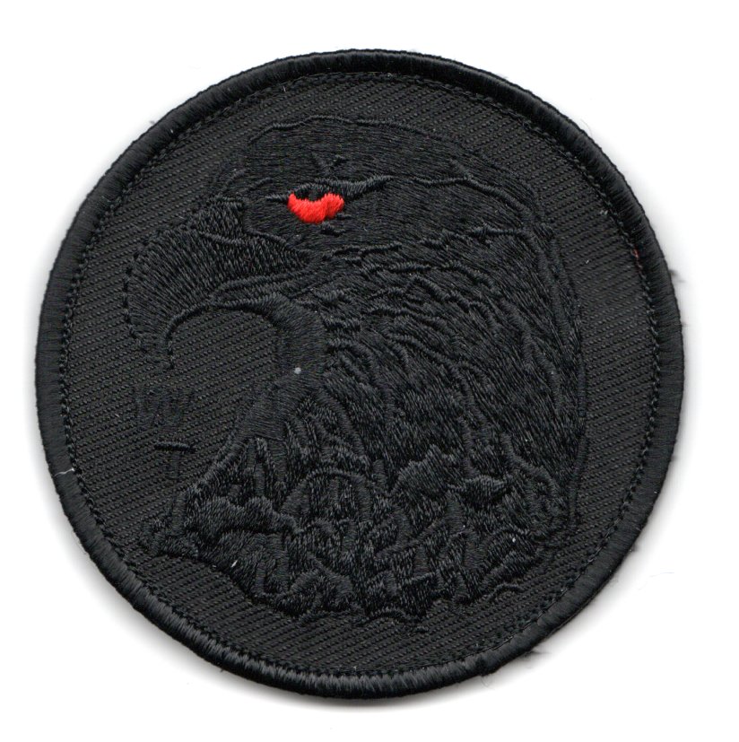 USMC WTI Patch (Black/Red Eye)