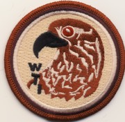 USMC WTI Patch (Des/Black Beak/NO Velcro)