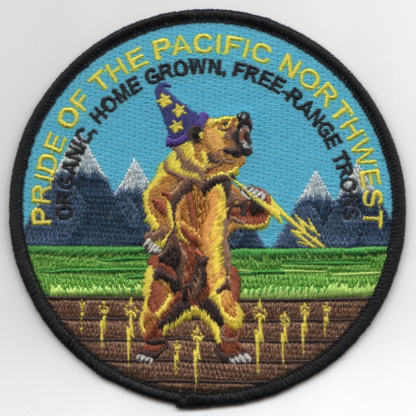 VAQ-133 2019 Cruise 'Pacific Pride' Patch