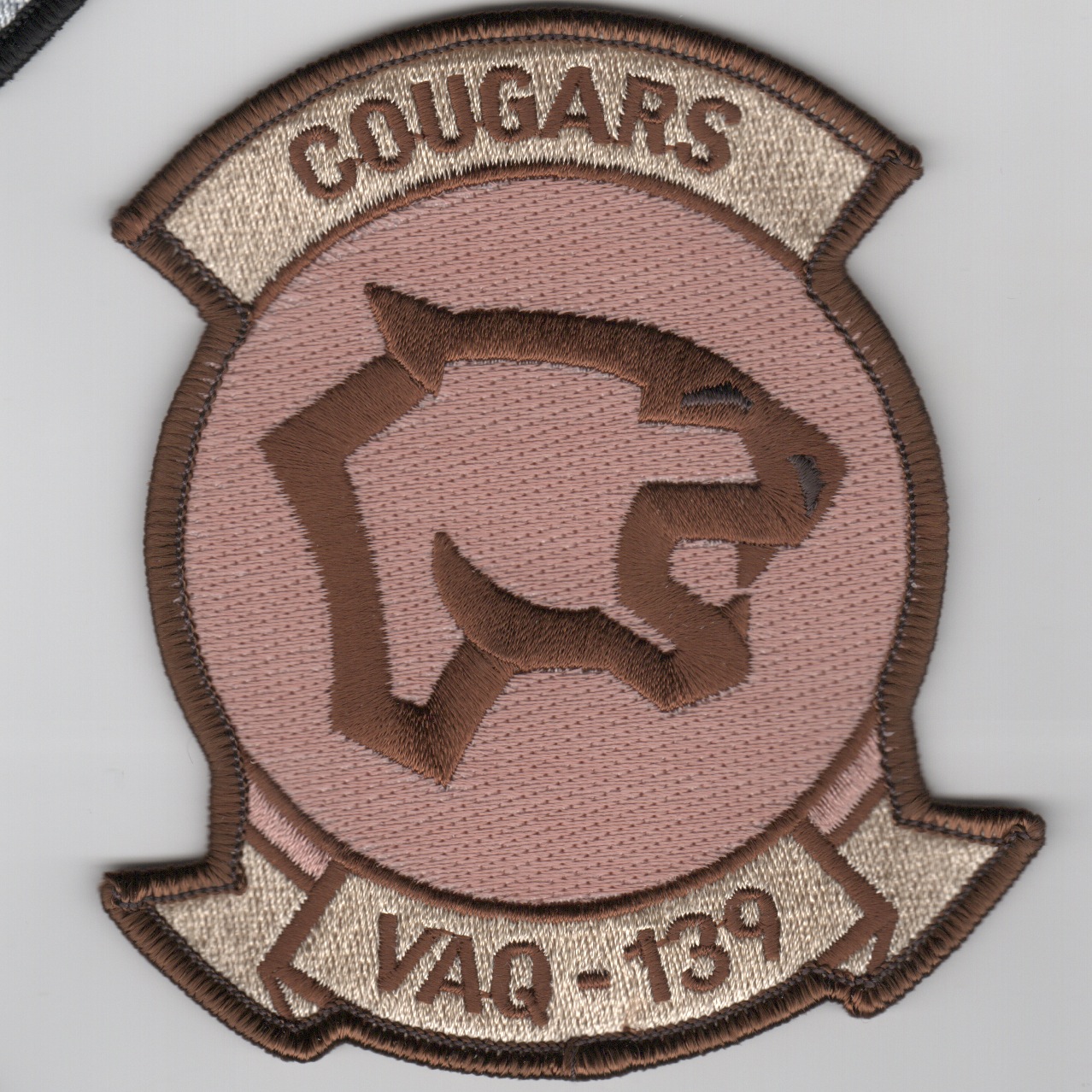 VAQ-139 Squadron Patch (Des)
