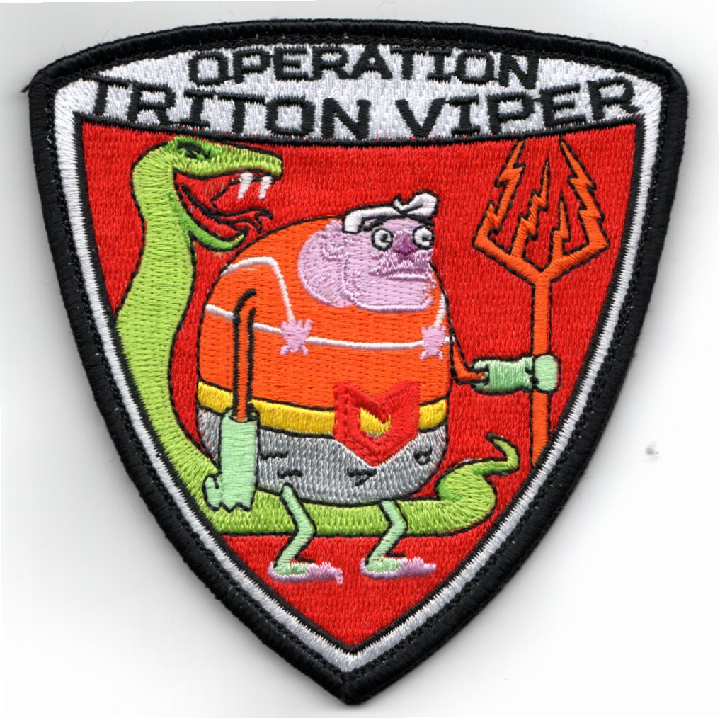VAQ-142 2020 'TRITON VIPER' Shield