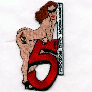 VF-154/CVW-5 'Naked Lady' Patch