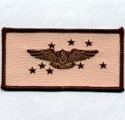 VF-213 EAWS Nametag (Desert)