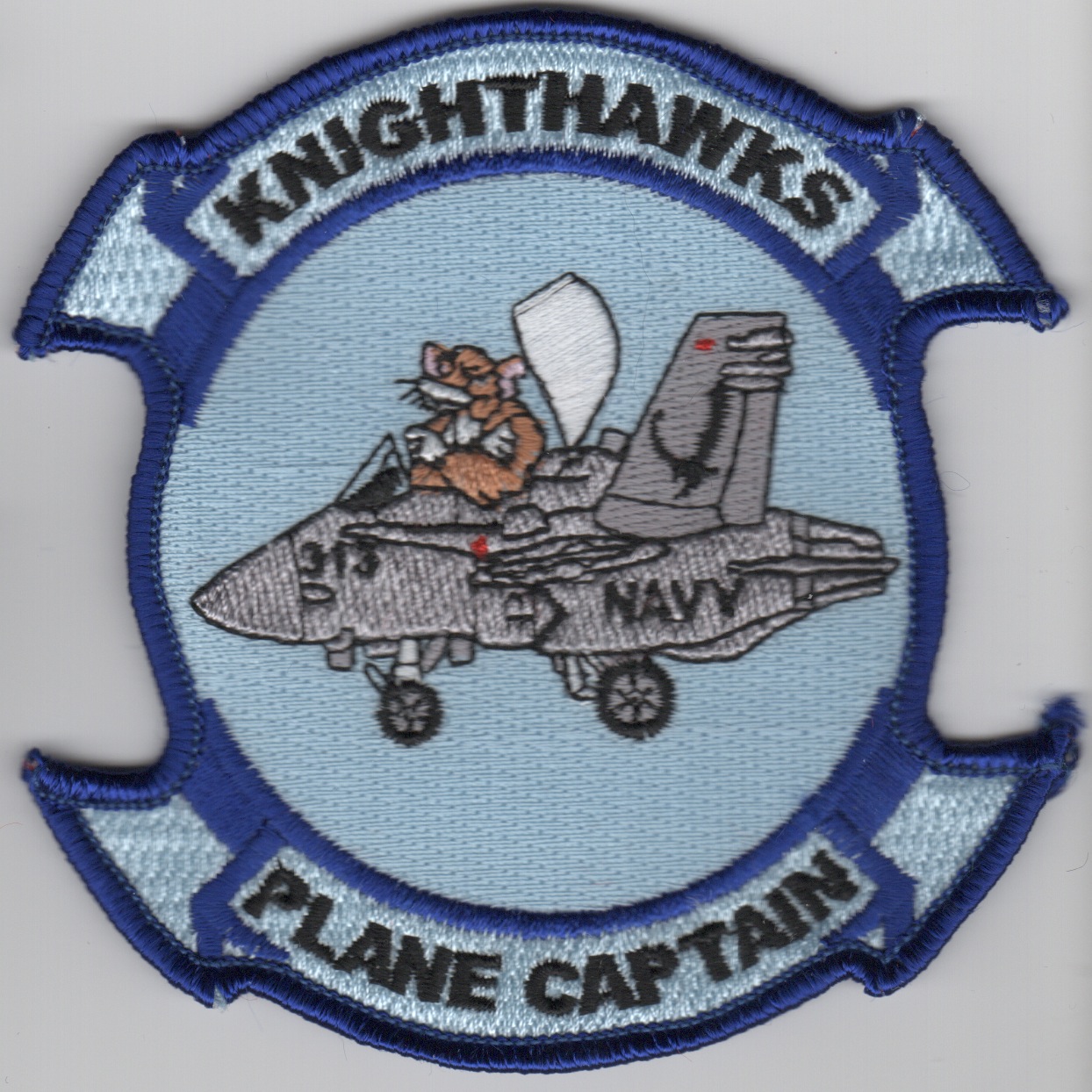 VFA-136 P.C. (Cat in Cockpit)